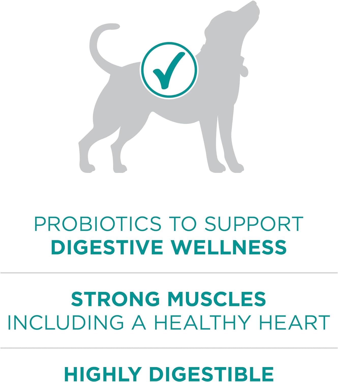 Purina One Plus Digestive Health Formula Adult Dry Dog Food Natural -  Dry Dog Food Purina ONE