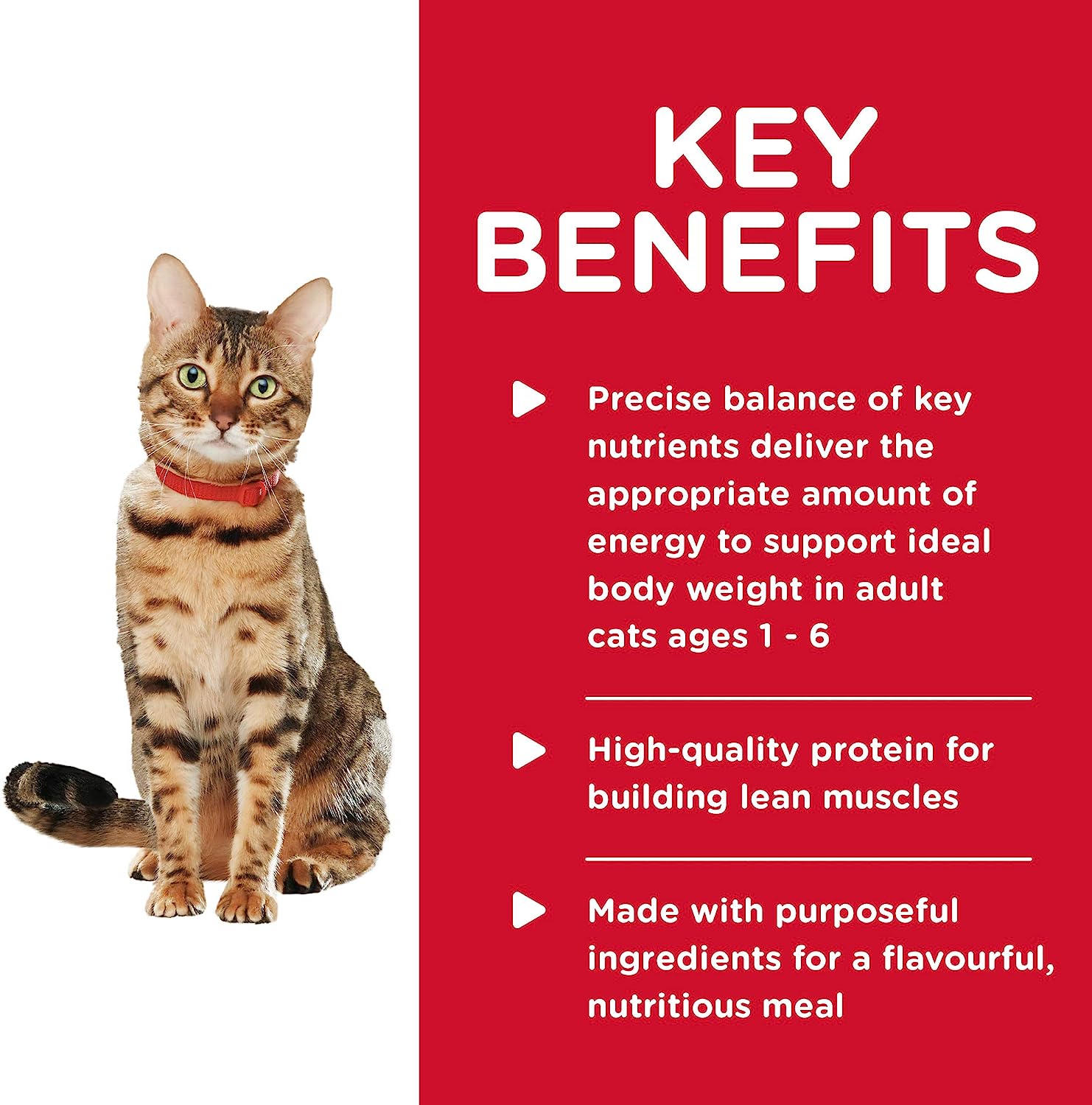 Hill's Science Diet Canned Wet Cat Food Healthy Cuisine Adult Roasted Chicken & Rice for Healthy Weight & Weight Management -  Wet Cat Food Hill's Science