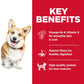 Hill's Science Diet Dry Dog Food, Adult 1-6, Small Bites, Chicken & Barley Recipe -  Dry Dog Food Hill's Science