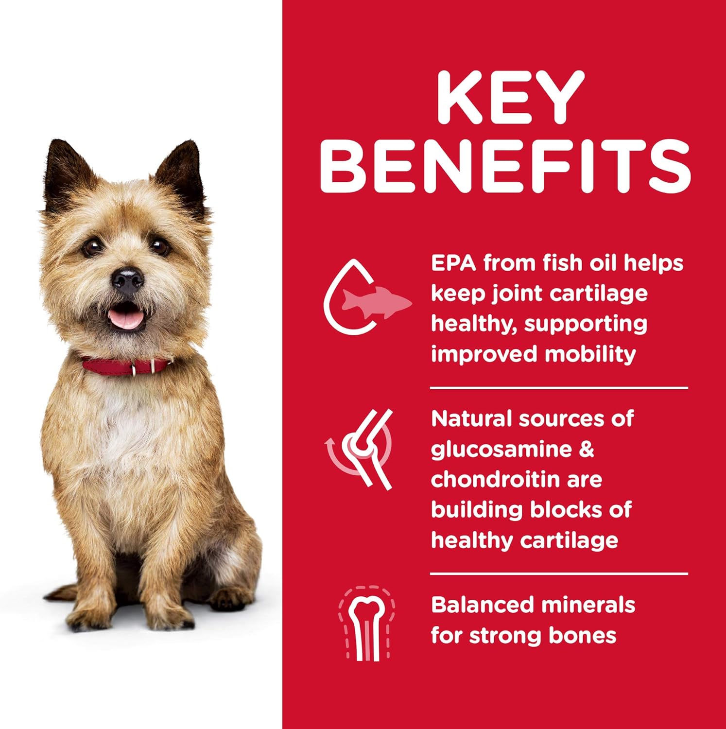 Hill's Science Diet Adult Healthy Mobility Small Bites Chicken Meal, Brown Rice & Barley Recipe Dry Dog Food -  Dry Dog Food Hill's Science