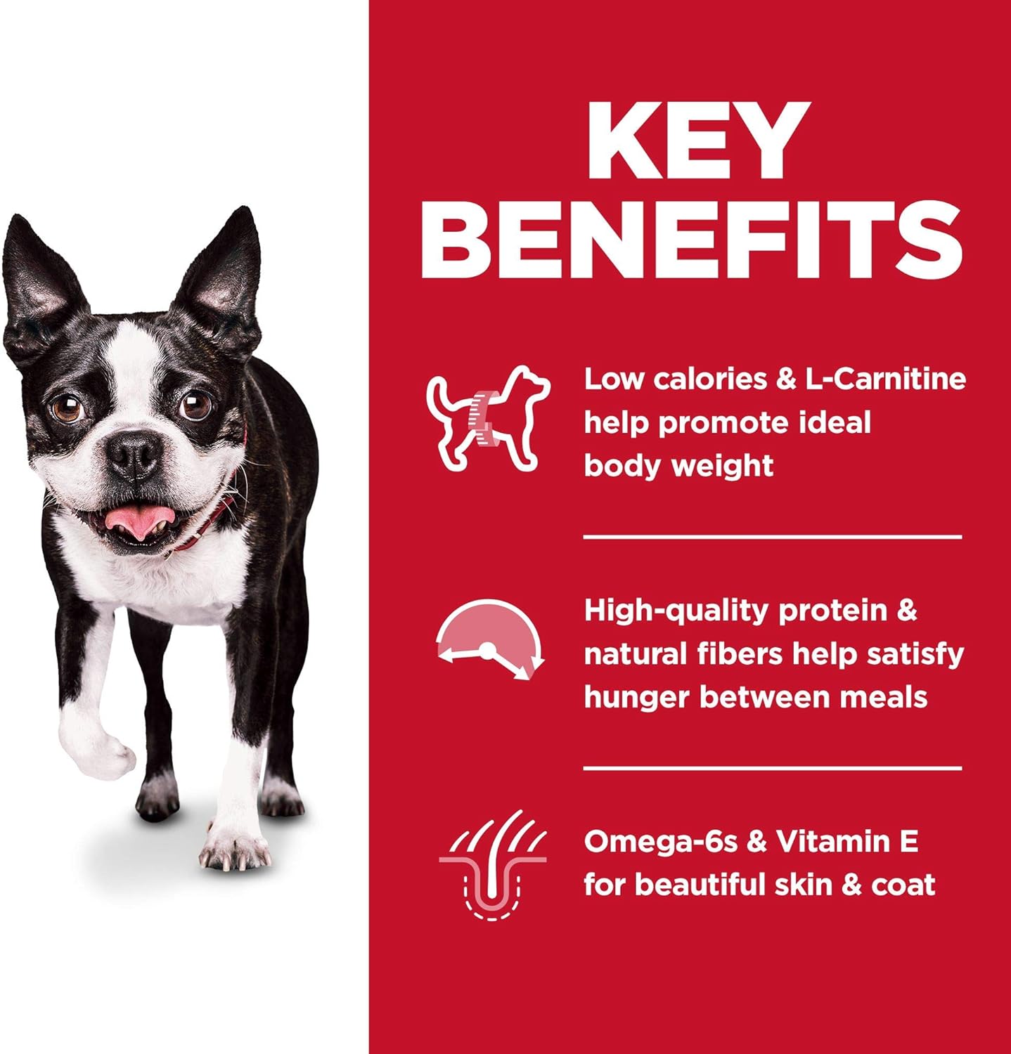 Hill's Science Diet Adult 1-6 Light Small Bites with Chicken Meal & Barley Dry Dog Food -  Dry Dog Food Hill's Science