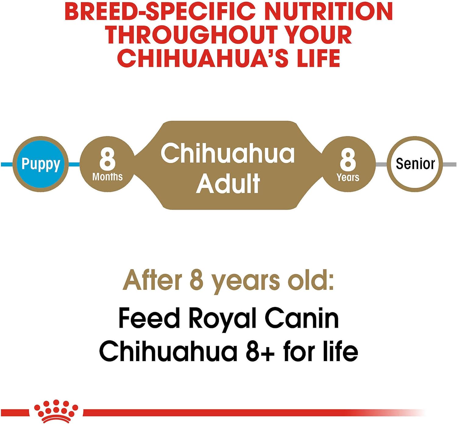 Royal Canin Chihuahua Adult Breed Health Nutrition Dry Dog Food, 10 LB -  Dry Dog Food Royal Canin