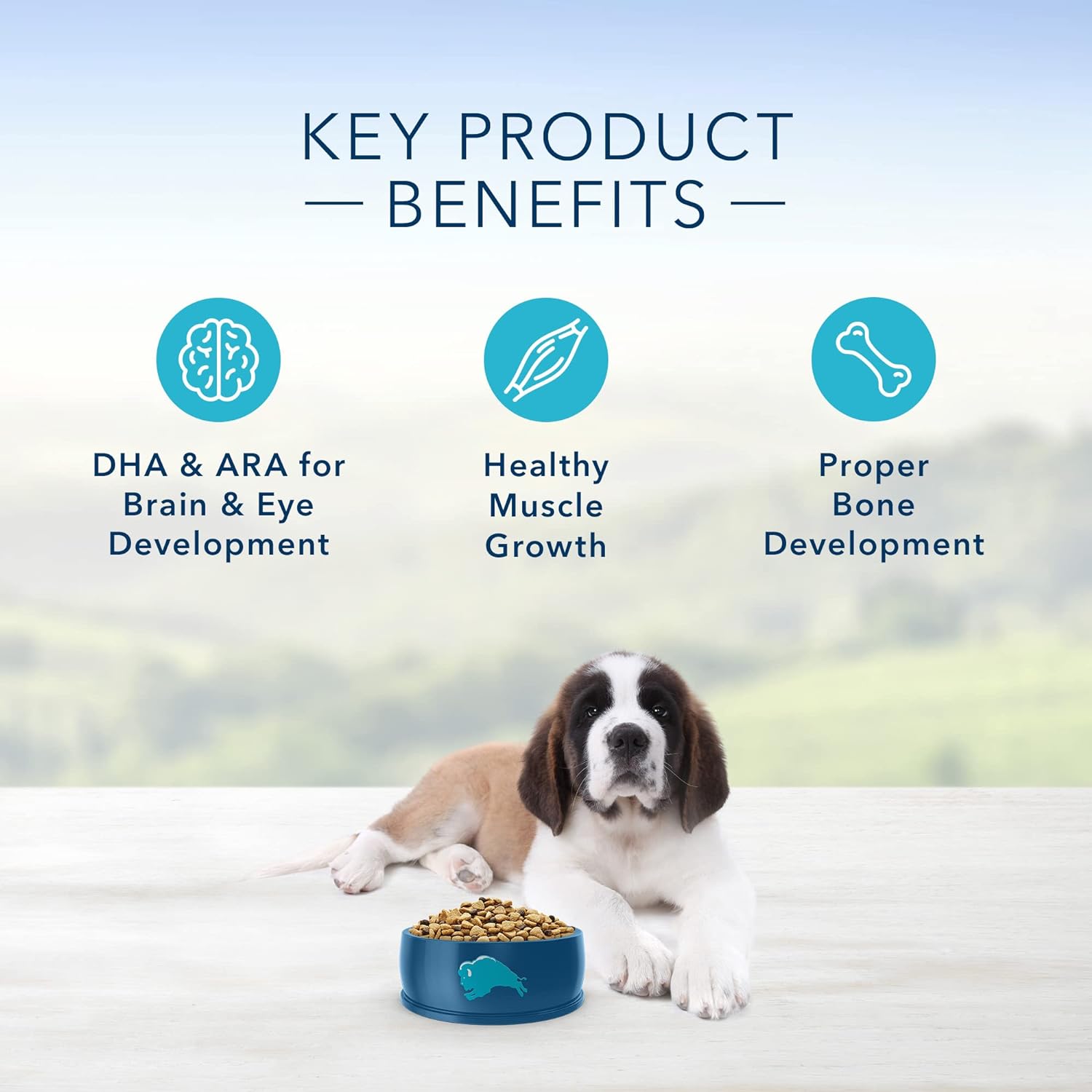 Blue Buffalo Life Protection Formula Natural Puppy Large Breed Dry Dog Food, Chicken & Brown Rice -  Dry Dog Food Blue Buffalo
