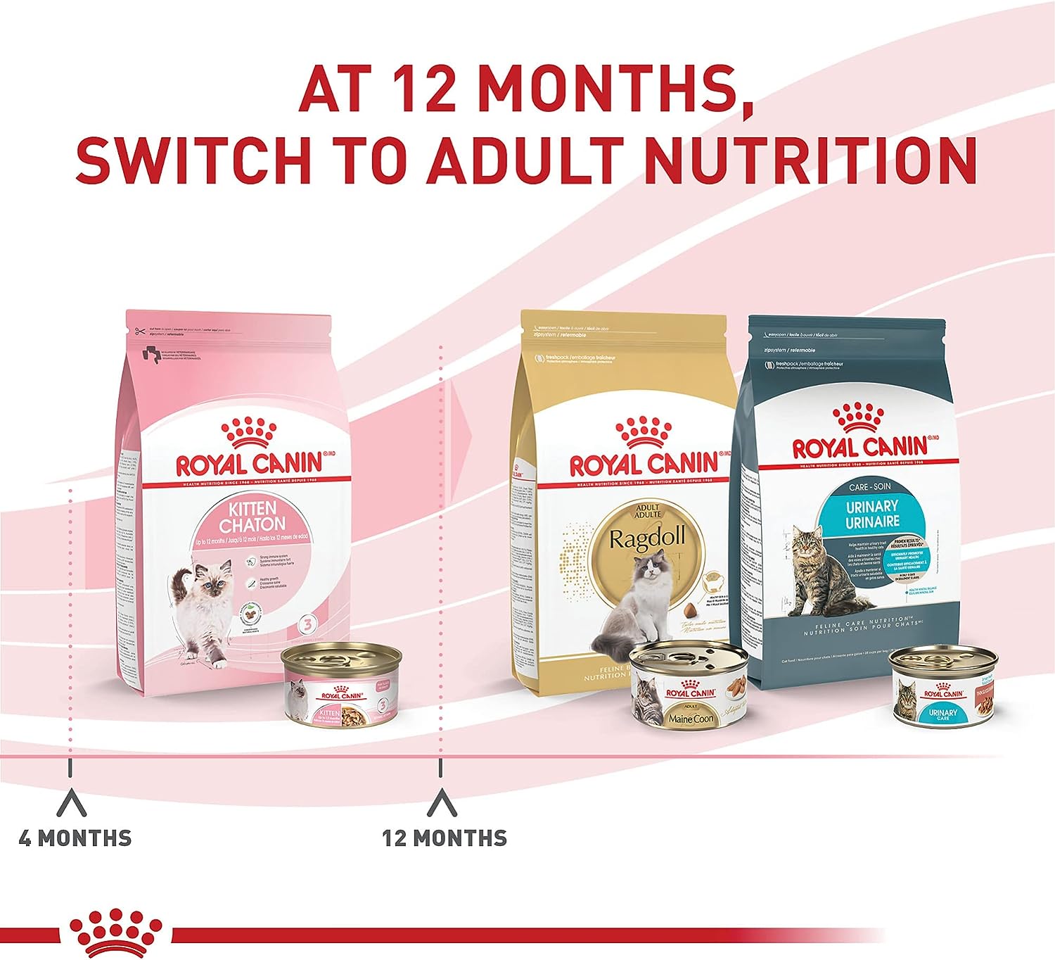 Royal Canin Feline Health Nutrition Kitten Thin Slices in Gravy Canned Cat Food -  Wet Cat Food Royal Canin