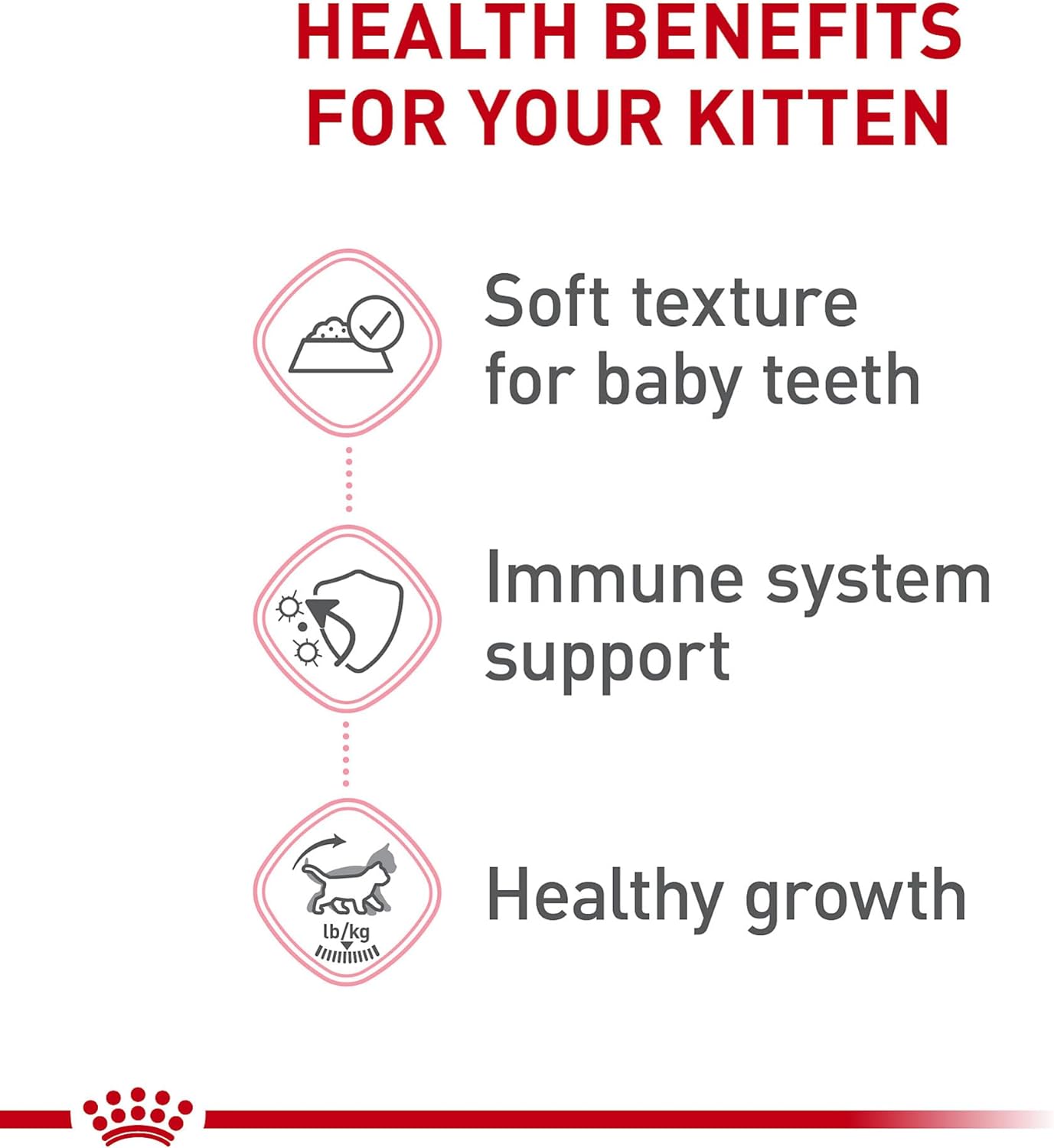 Royal Canin Feline Health Nutrition Kitten Loaf in Sauce Canned Cat Food -  Wet Cat Food Royal Canin