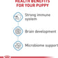 Royal Canin Size Health Nutrition Medium Puppy Dry Dog Food -  Dry Dog Food Royal Canin