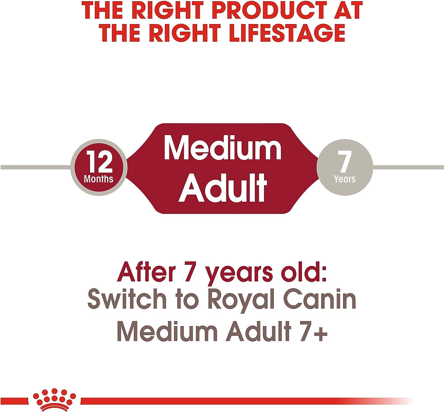 Royal Canin Size Health Nutrition Medium Breed Adult Dry Dog Food -  Dry Dog Food Royal Canin