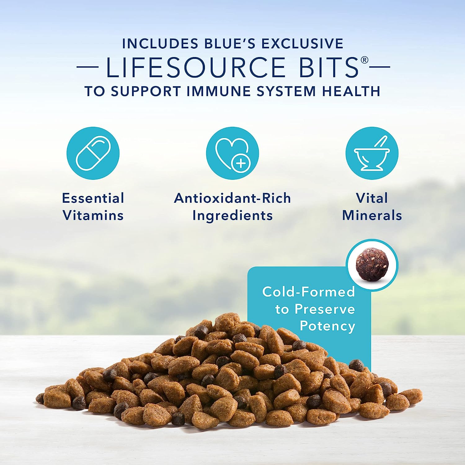 Blue Buffalo Life Protection Formula Natural Senior Dry Dog Food, Chicken & Brown Rice -  Dry Dog Food Blue Buffalo