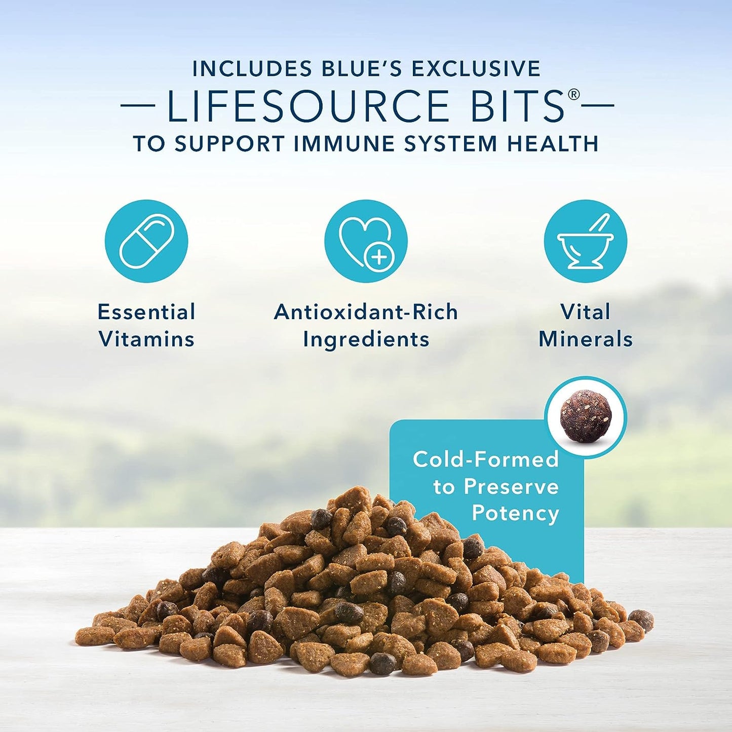 Blue Buffalo Senior Small Breed Dry Dog Food, Life Protection Formula, Natural Chicken & Brown Rice Flavor -  Dry Dog Food Blue Buffalo