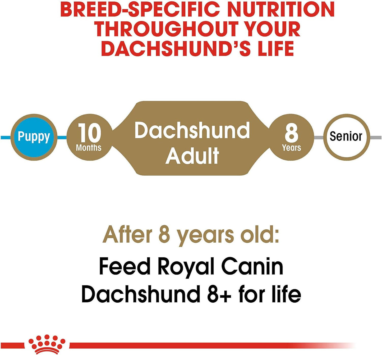 Royal Canin Breed Health Nutrition Dachshund Adult Dry Dog Food, 10 LB -  Dry Dog Food Royal Canin