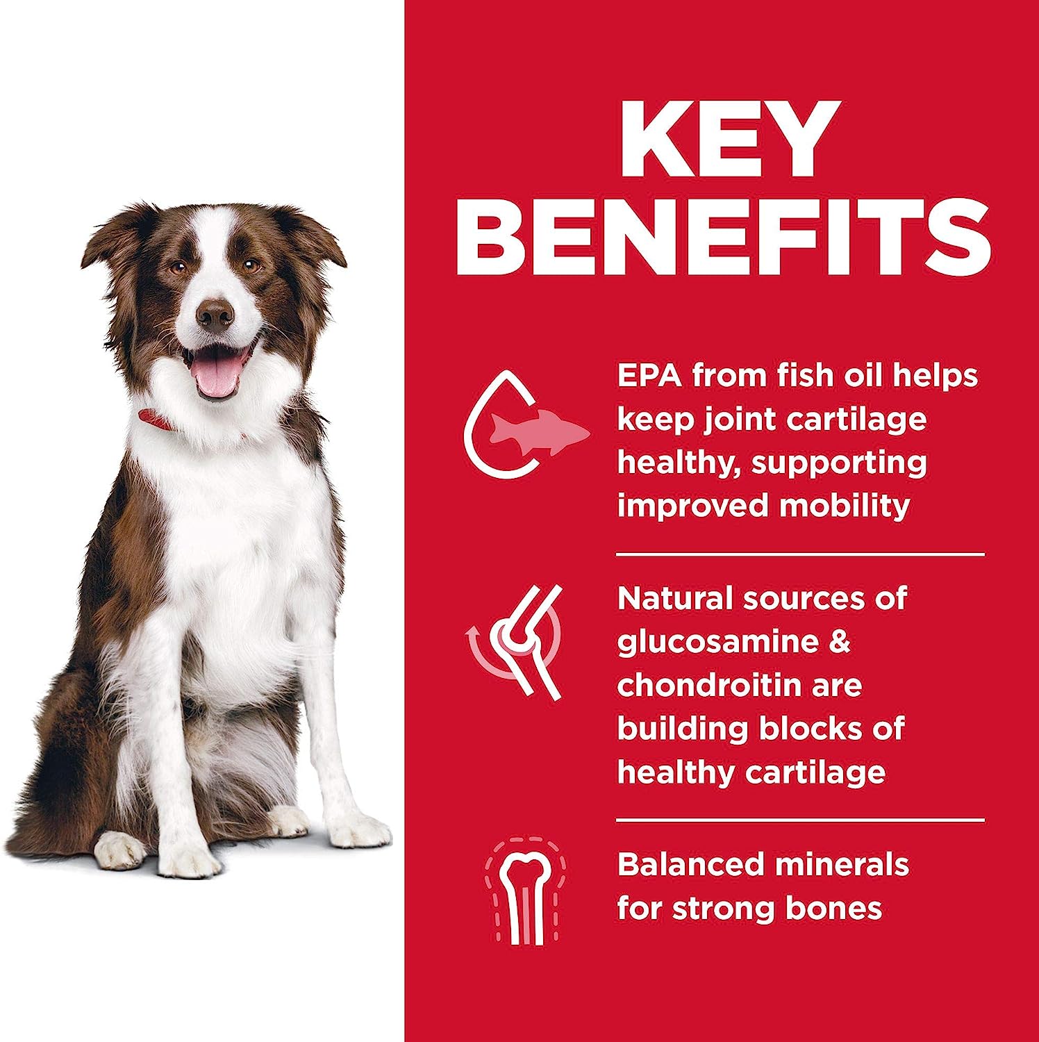 Hill's Science Diet Adult Healthy Mobility Large Breed Chicken Meal, Brown Rice & Barley Recipe Dry Dog Food -  Dry Dog Food Hill's Science