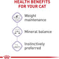 Royal Canin Feline Spayed/Neutered Thin Slices In Gravy Canned Cat Food -  Wet Cat Food Royal Canin
