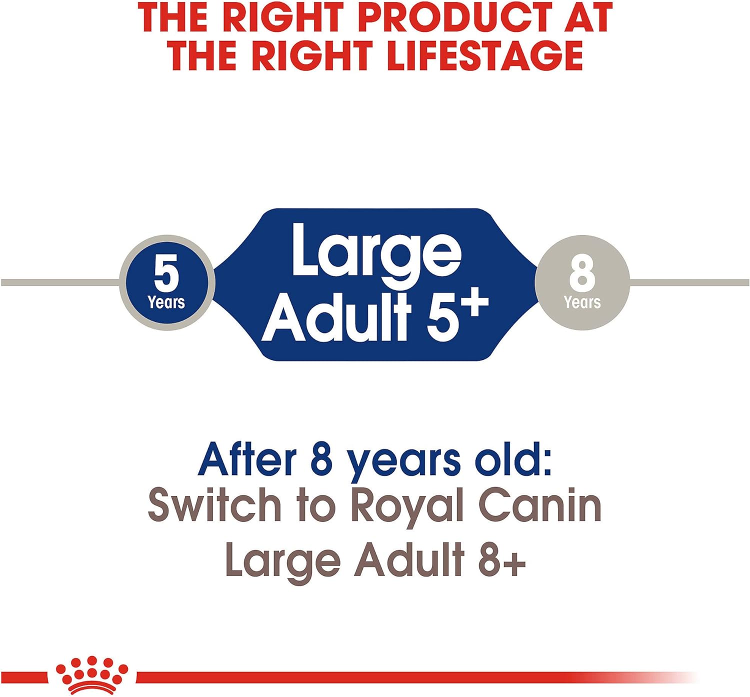 Royal Canin Large Adult 5+ Dry Dog Food for Older Dogs, 30 LB -  Dry Dog Food Royal Canin