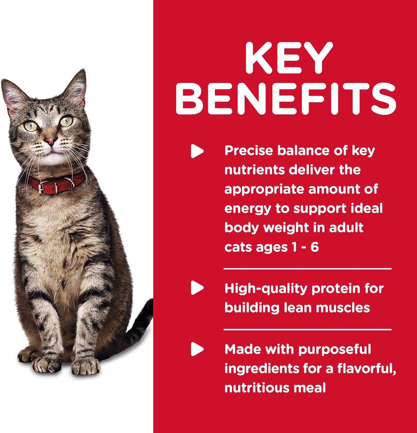 Hill's Science Diet Adult 1-6 Savory Chicken Entree Canned Wet Cat Food -  Wet Cat Food Hill's Science