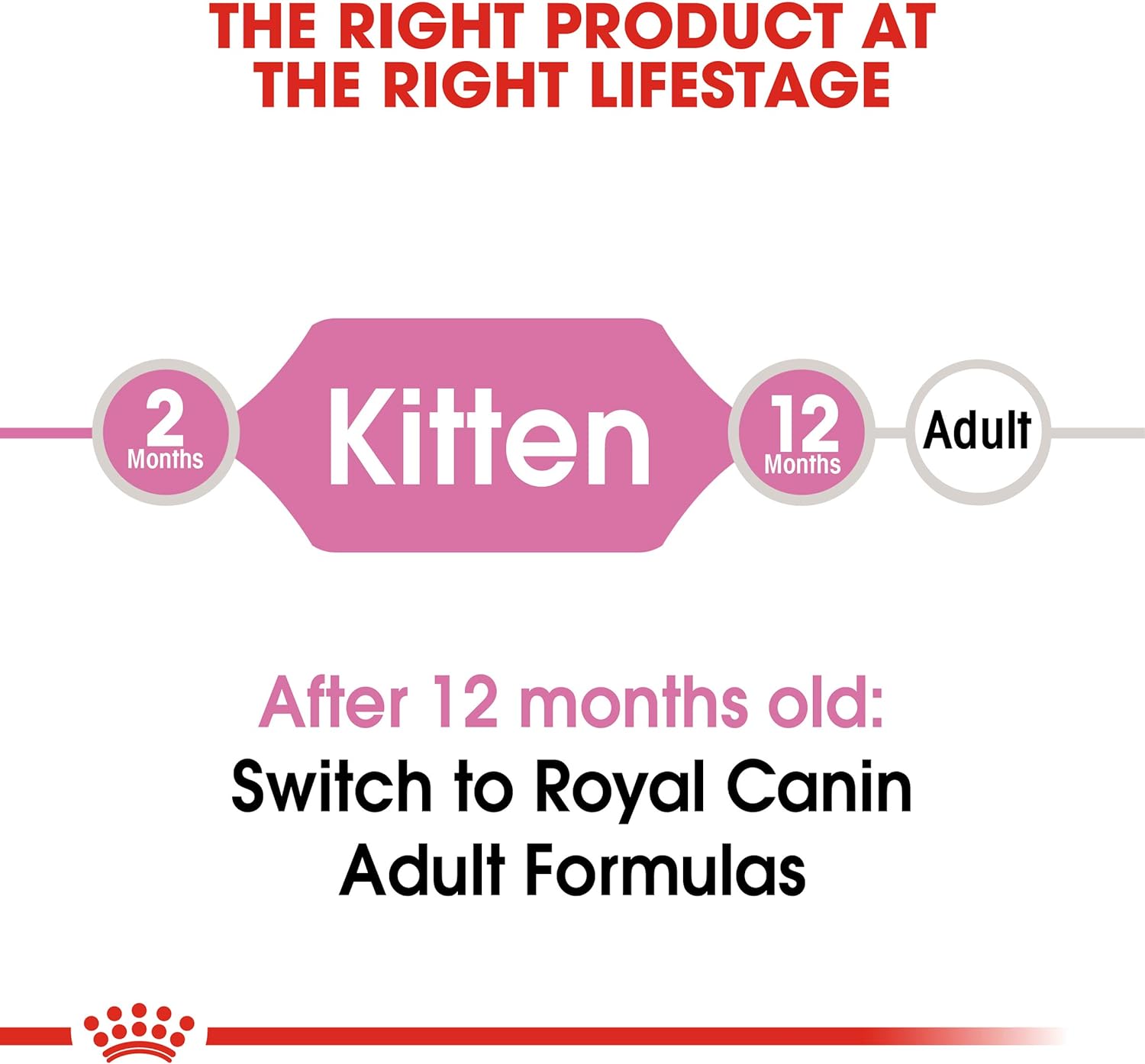Royal Canin Feline Health Nutrition Dry Food for Young Kittens -  Dry Cat Food Royal Canin