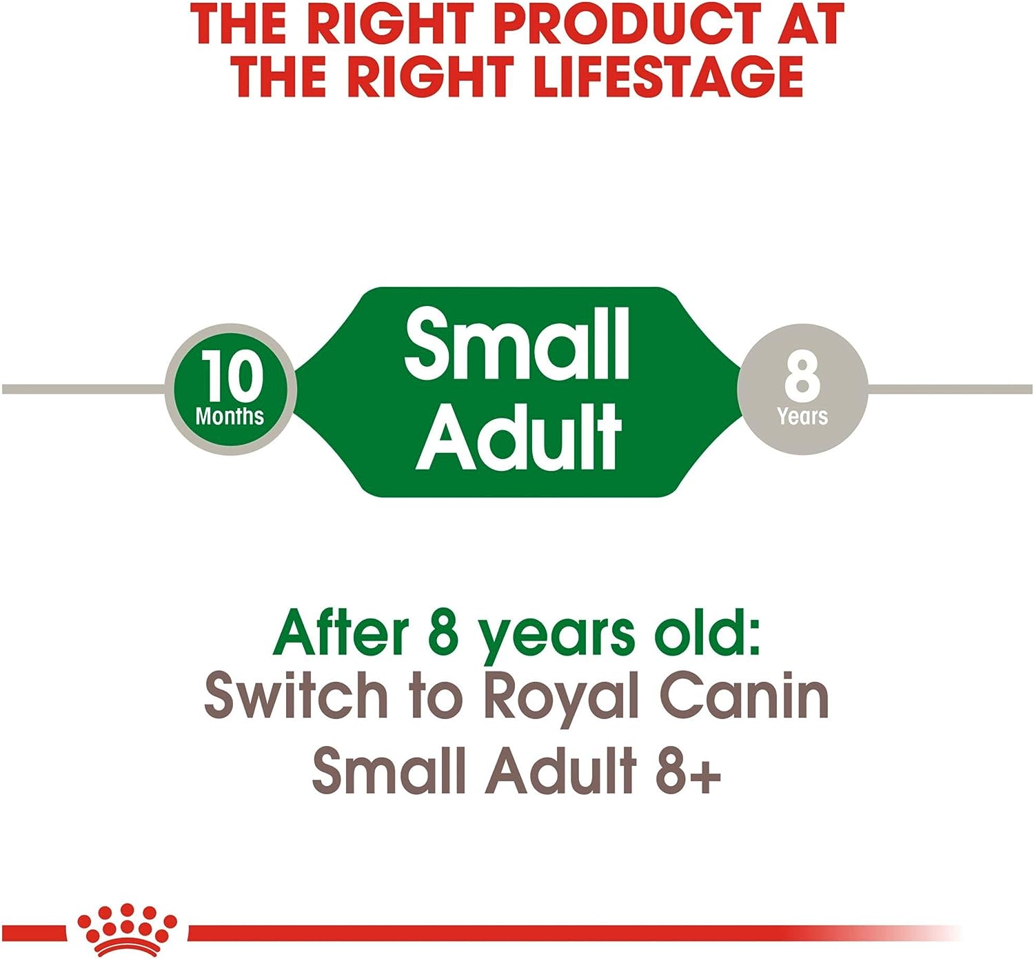 Royal Canin Small Breed Adult Dry Dog Food, 14 LB -  Dry Dog Food Royal Canin