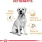 Royal Canin Breed Health Nutrition Labrador Retriever Adult Dry Dog Food -  Dry Dog Food Royal Canin