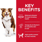 Hill's Science Diet Adult 7+ Chicken Meal, Barley & Brown Rice Recipe Dry Dog Food -  Dry Dog Food Hill's Science