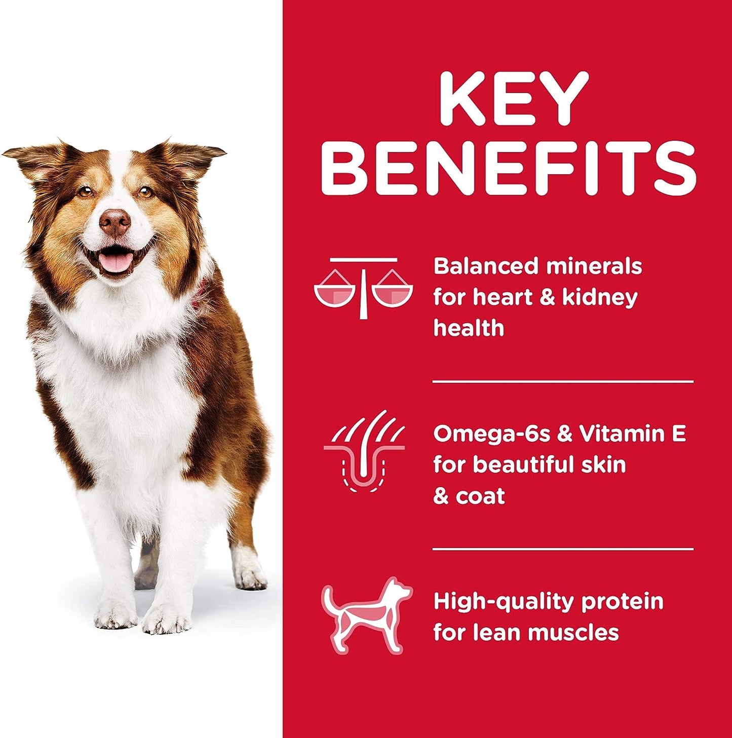 Hill's Science Diet Adult 7+ Chicken Meal, Barley & Brown Rice Recipe Dry Dog Food -  Dry Dog Food Hill's Science