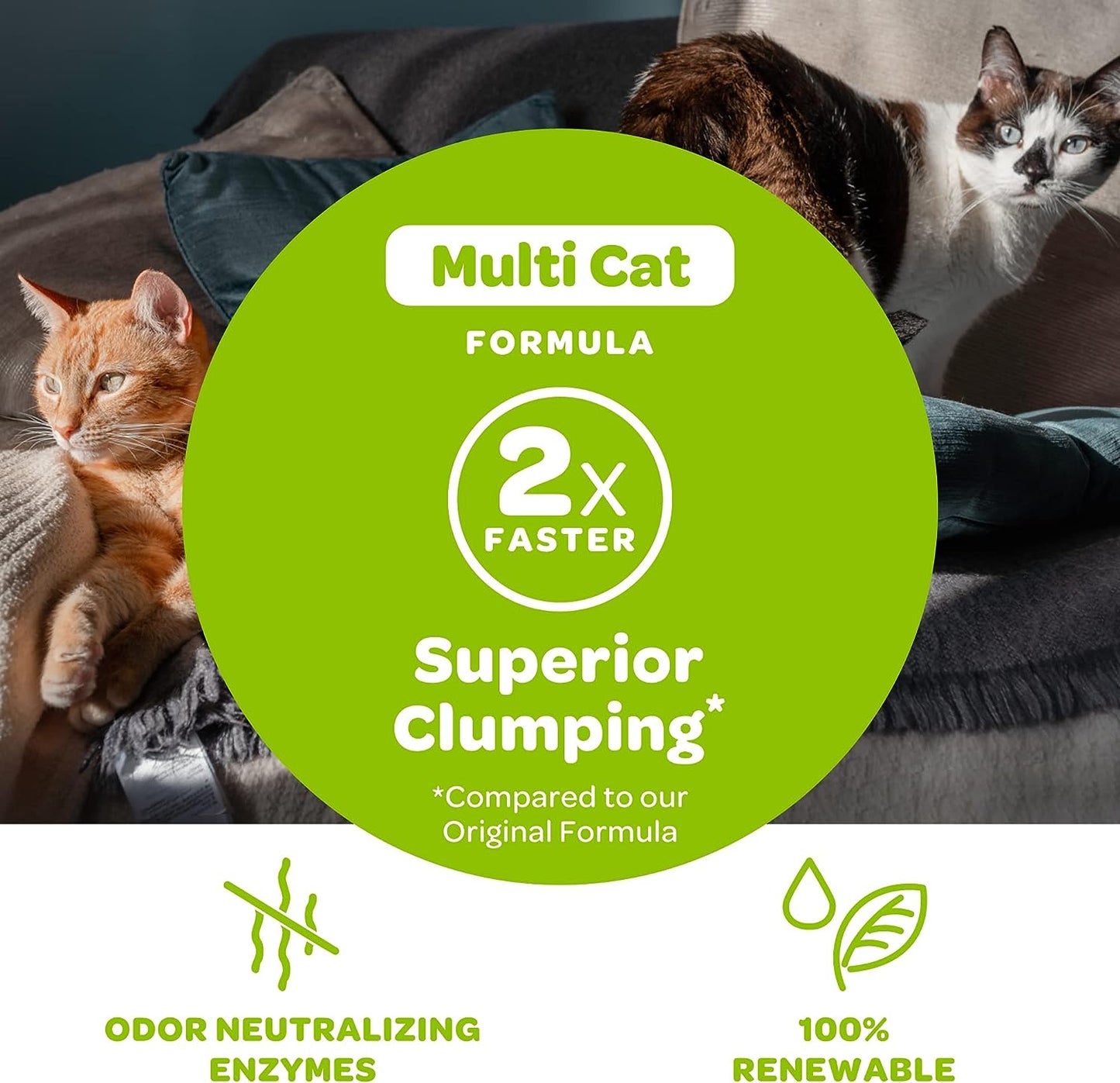 Swheat Scoop Unscented Scoopable Multi-Cat Litter, 36 lbs -  Cat Litter Swheat Scoop