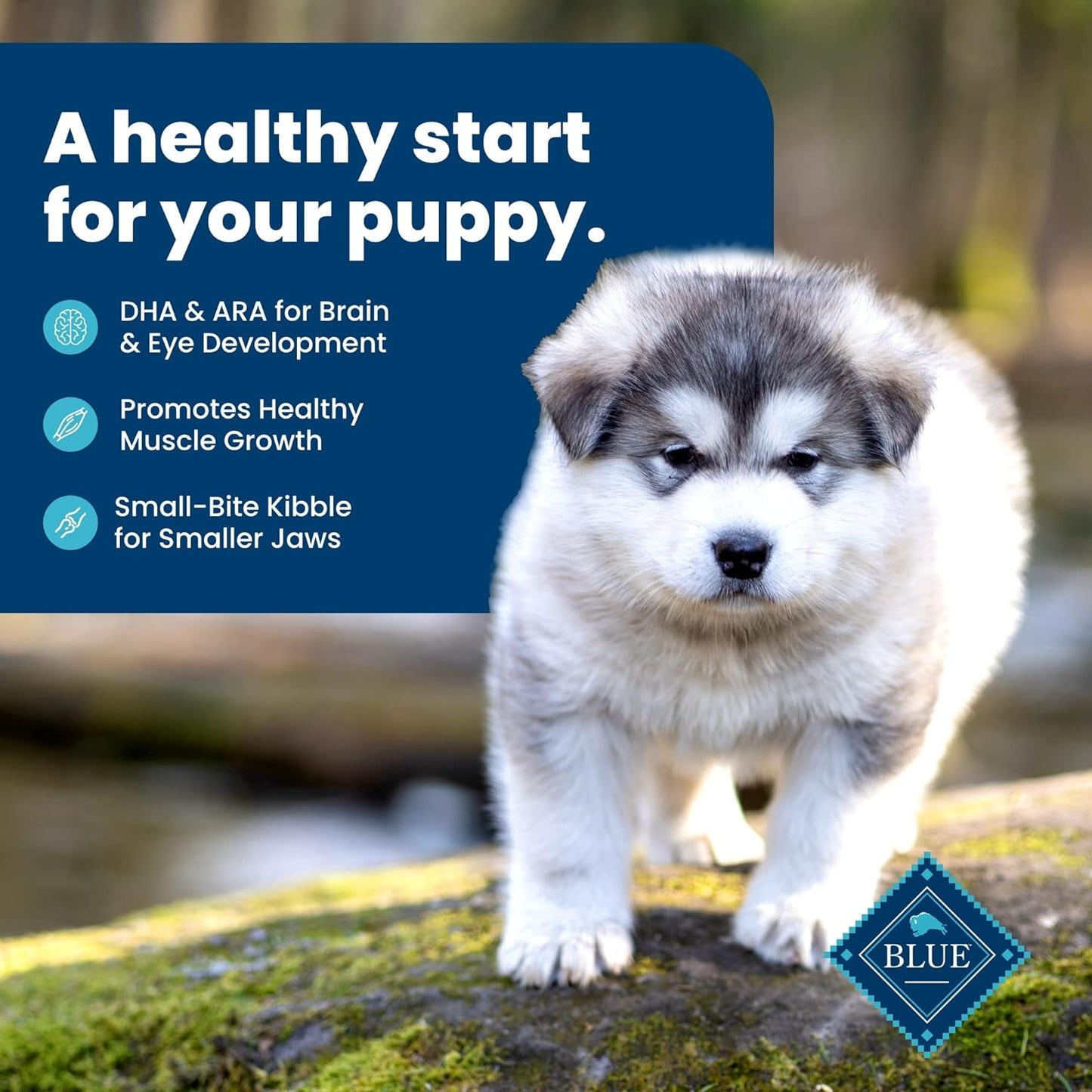 Blue Buffalo Puppy Dry Dog Food Life Protection Formula Natural Chicken & Brown Rice -  Dry Dog Food Blue Buffalo