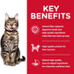 Hill's Science Diet Adult 7+ Indoor Chicken Recipe Dry Cat Food -  Dry Cat Food Hill's Science