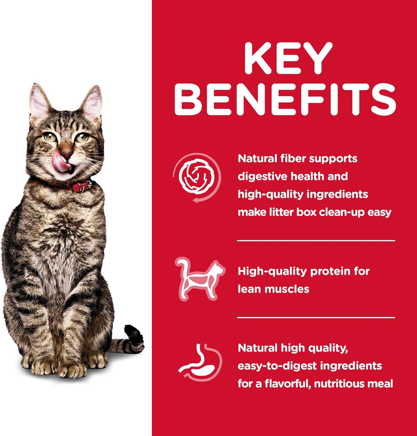 Hill's Science Diet Adult 7+ Indoor Chicken Recipe Dry Cat Food -  Dry Cat Food Hill's Science