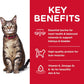 Hill's Science Diet Adult 1-6 Chicken Recipe Dry Cat Food -  Dry Cat Food Hill's Science
