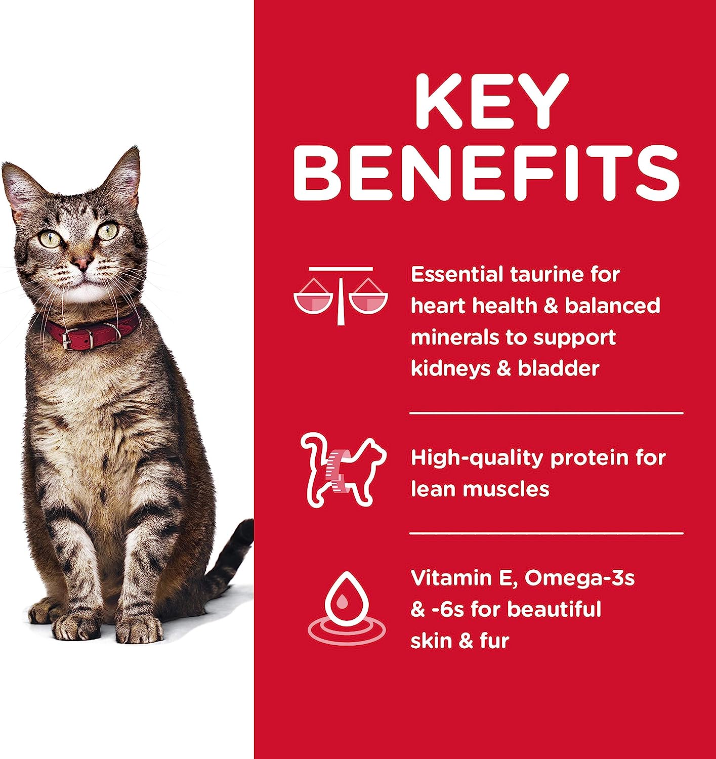 Hill's Science Diet Adult 1-6 Chicken Recipe Dry Cat Food -  Dry Cat Food Hill's Science