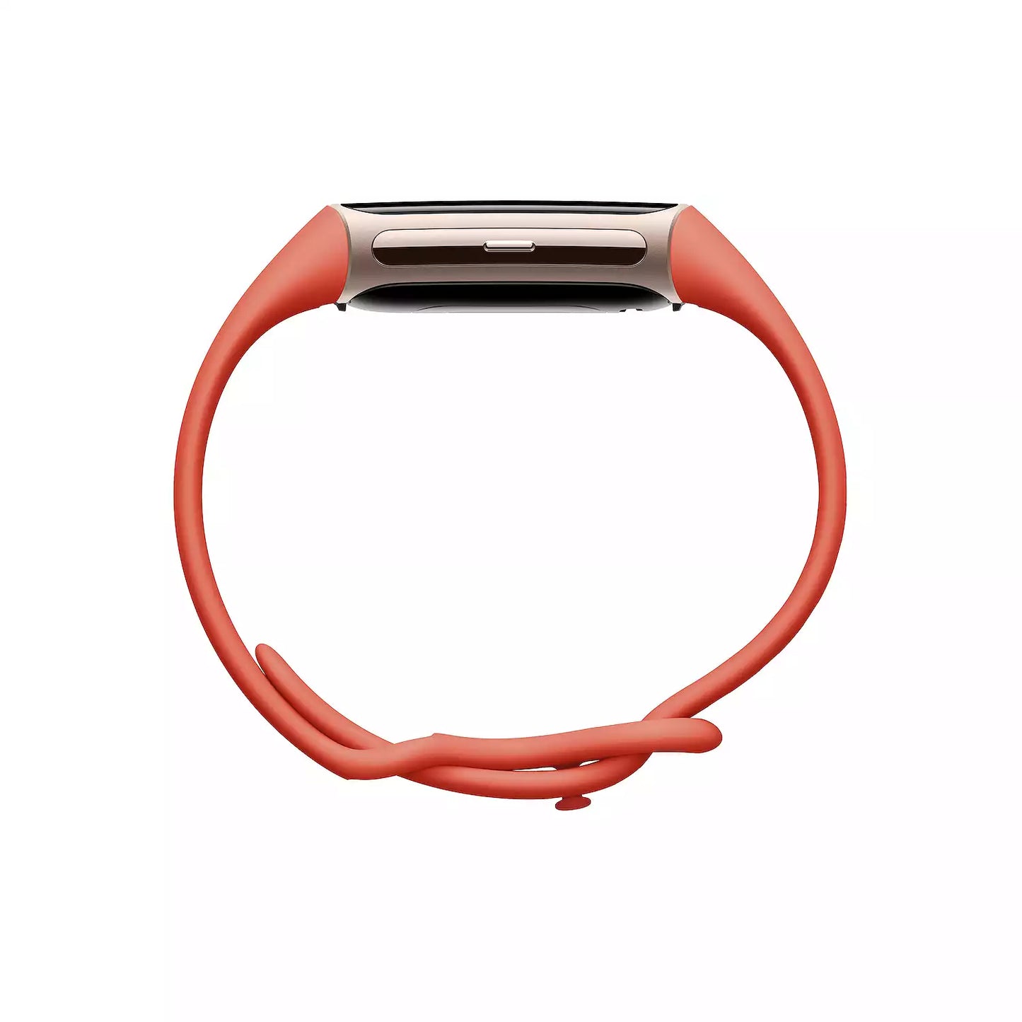 Fibit Charge 6 Premium Fitness & Health Tracker
