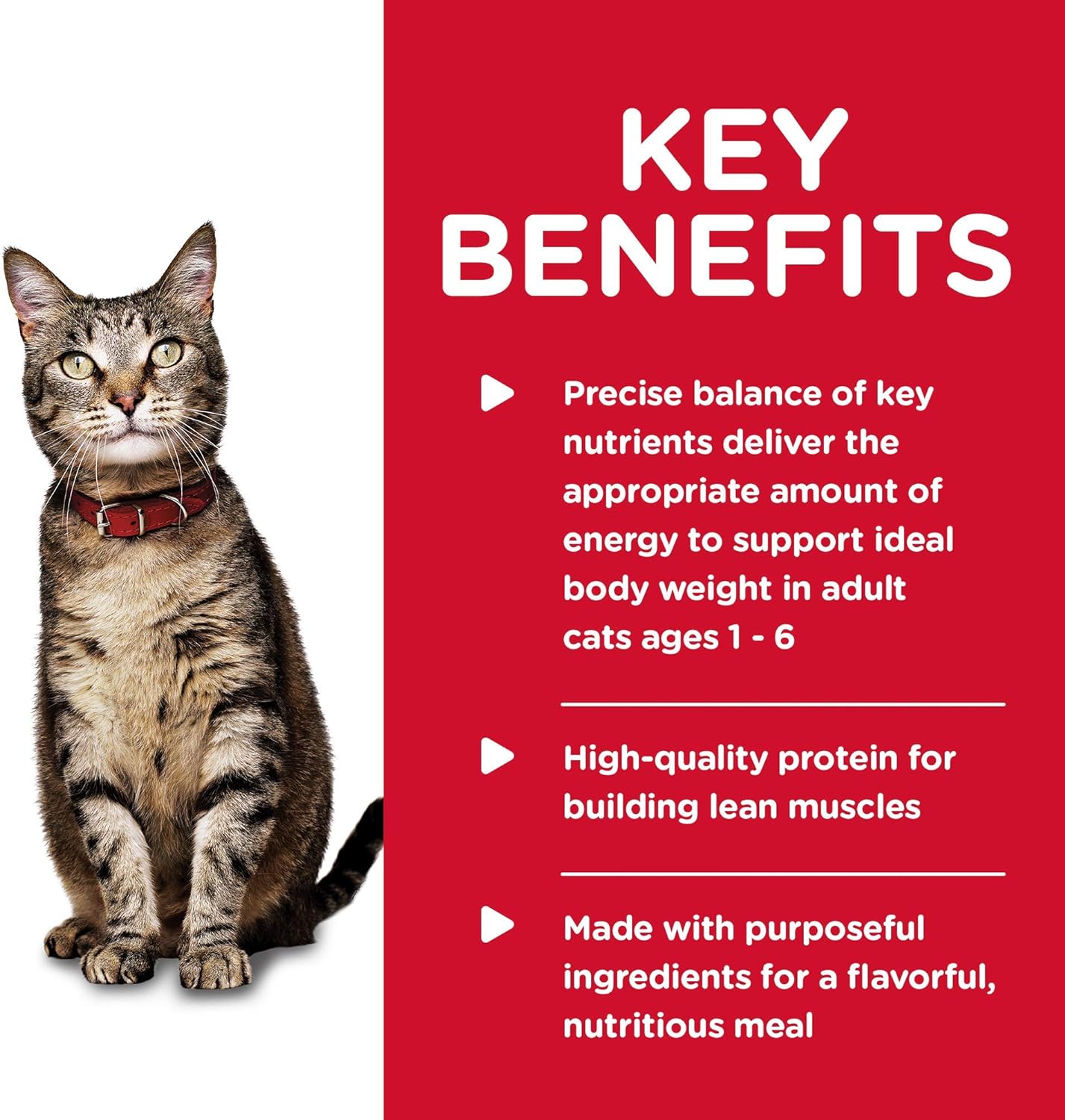 Hill's Science Diet Adult Savory Salmon Entree Canned Wet Cat Food -  Wet Cat Food Hill's Science