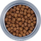 Royal Canin Maine Coon Breed Adult Dry Cat Food, 6 LB -  Dry Cat Food Royal Canin