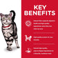 Hill's Science Diet Adult 1-6 Indoor Chicken Recipe Dry Cat Food -  Dry Cat Food Hill's Science
