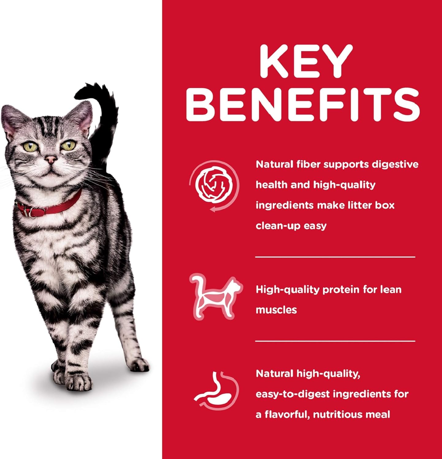 Hill's Science Diet Adult 1-6 Indoor Chicken Recipe Dry Cat Food -  Dry Cat Food Hill's Science