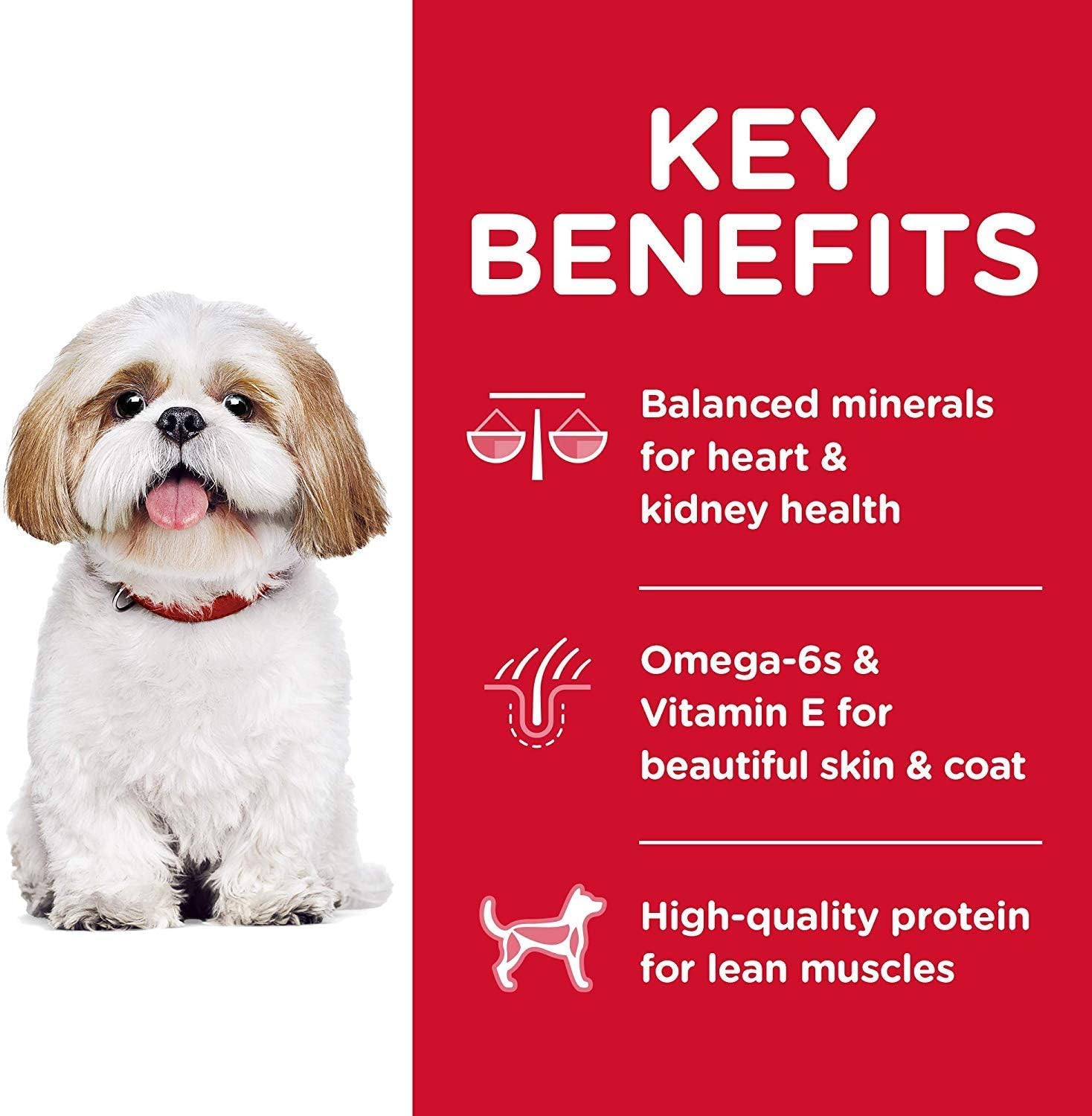 Hill's Science Diet Adult 7+ Small Bites Chicken Meal, Barley & Brown Rice Recipe Dry Dog Food -  Dry Dog Food Hill's Science