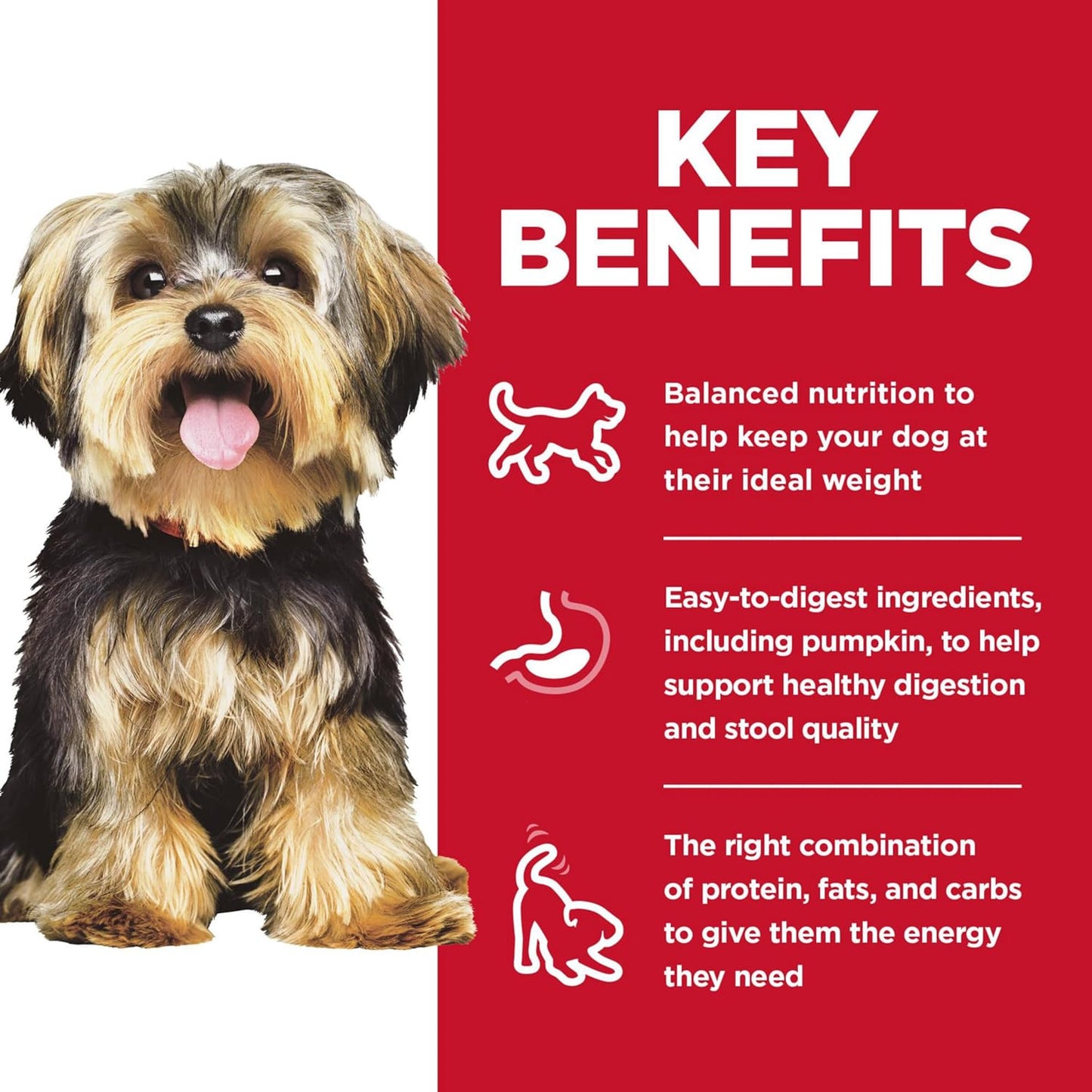 Hill's Science Diet Adult Dry Dog Food Small Paws Chicken Meal & Rice Recipe -  Dry Dog Food Hill's Science