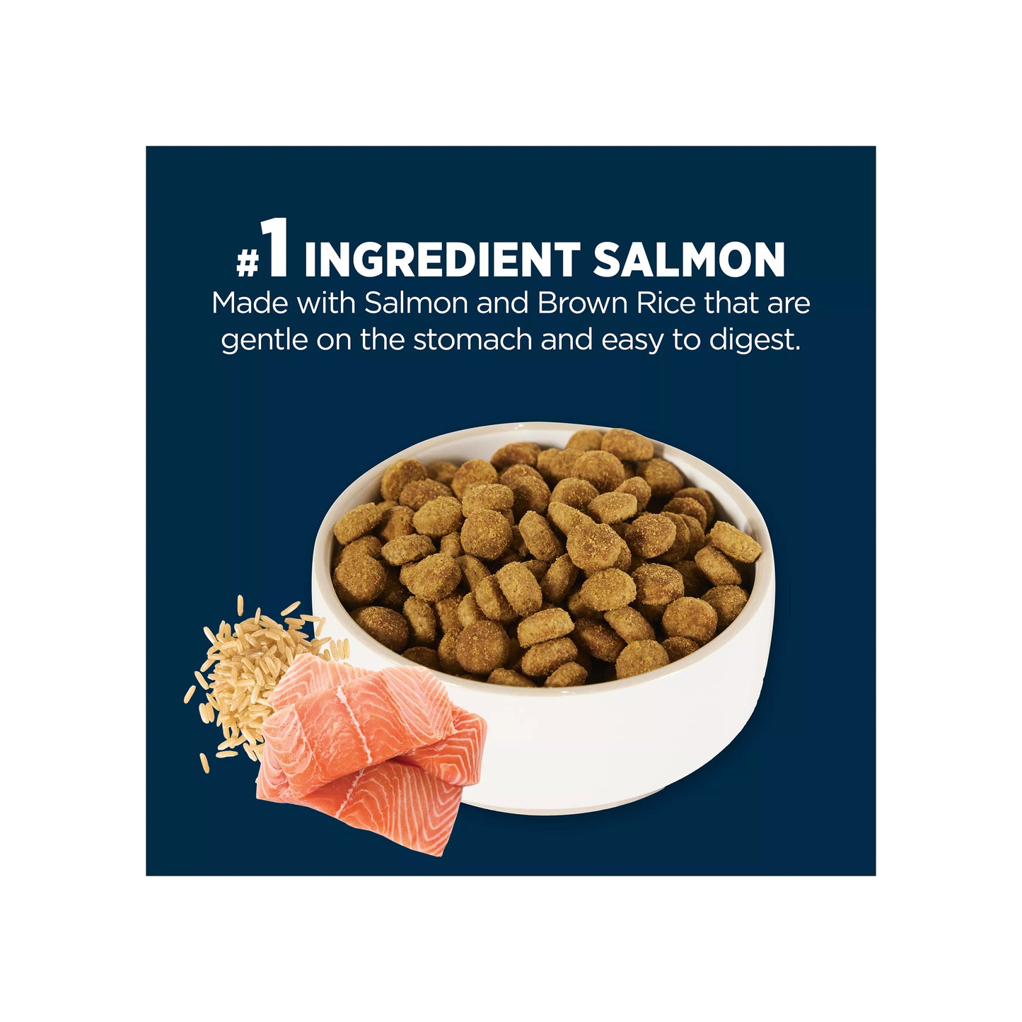 Authority Sensitive Stomach & Skin All Life Stages Dry Dog Food - Salmon & Rice