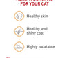 Royal Canin Feline Care Nutrition Hair & Skin Care Thin Slices in Gravy Canned Cat Food -  Wet Cat Food Royal Canin