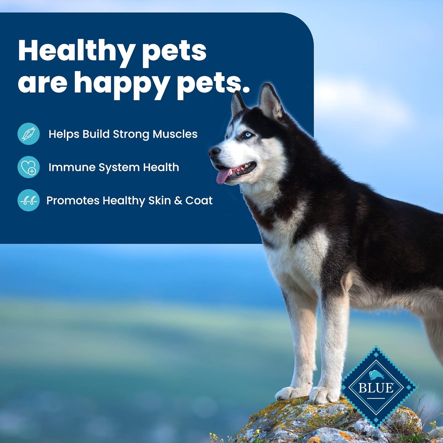 Blue Buffalo Blue Life Protection Formula Natural Adult Beef and Brown Rice Dry Dog Food -  Dry Dog Food Blue Buffalo