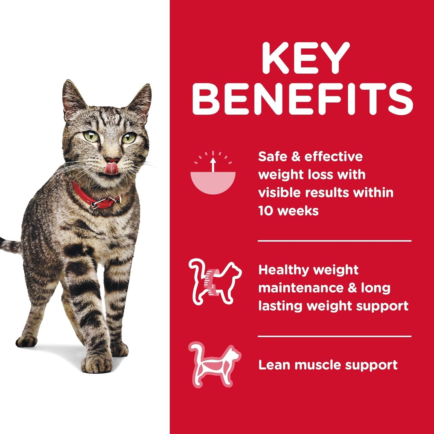 Hill's Science Diet Adult Perfect Weight Chicken Recipe Dry Cat Food -  Dry Cat Food Hill's Science