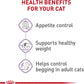 Royal Canin Appetite Control Spayed/Neutered Dry Adult Cat Food, 6 LB -  Dry Cat Food Royal Canin