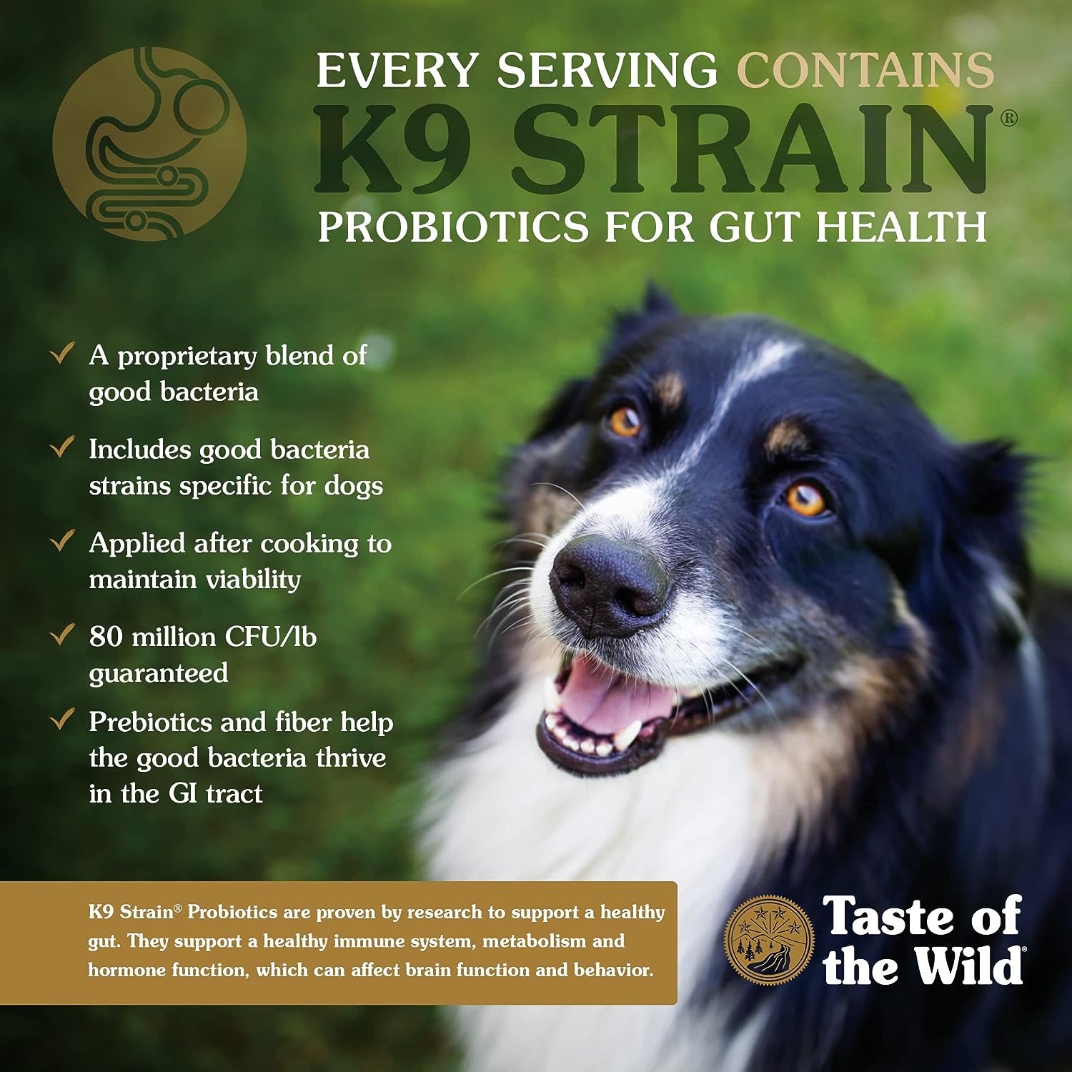 Taste of the Wild Wetlands Grain-Free Roasted Duck Dry Dog Food -  Dry Dog Food Taste of the Wild