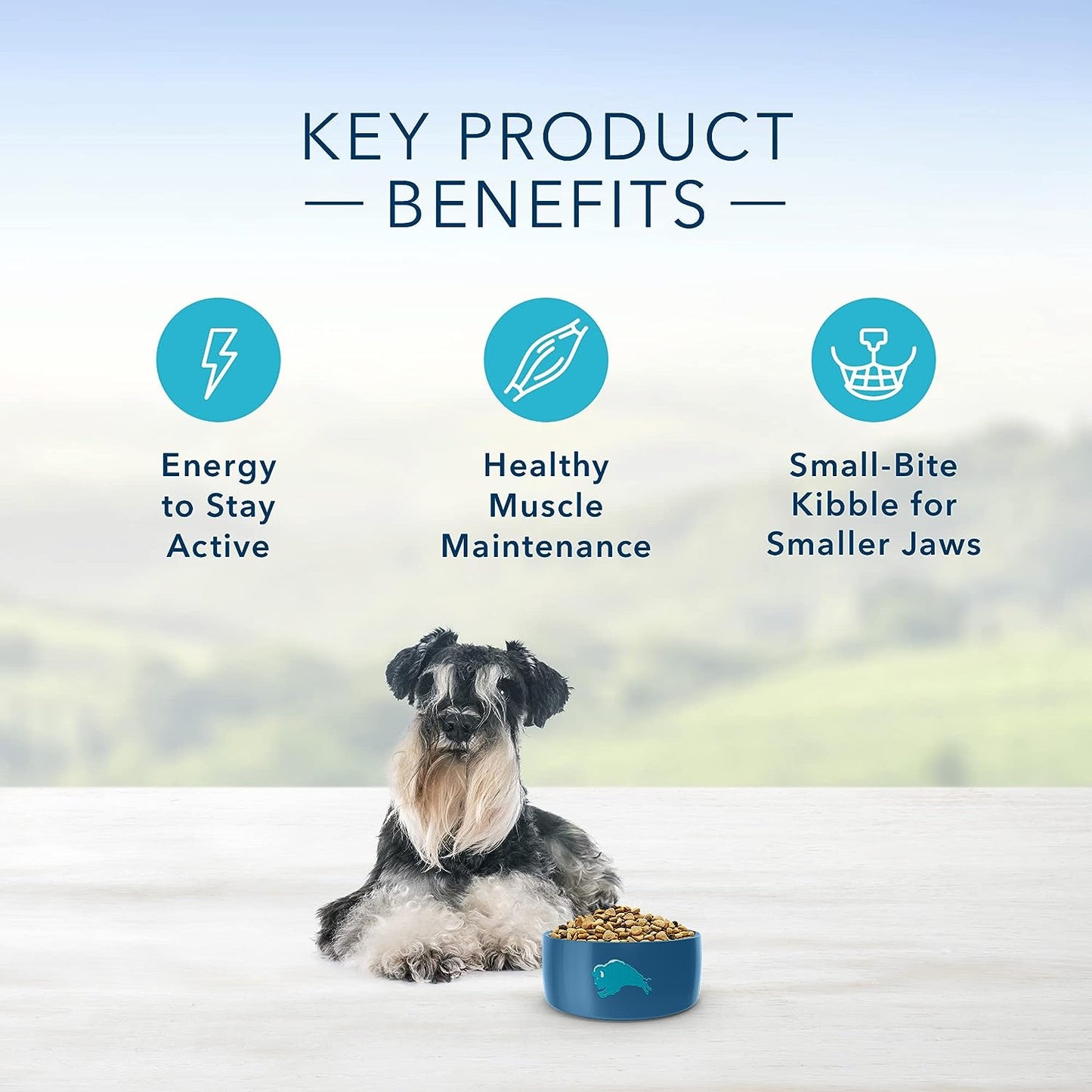 Blue Buffalo Senior Small Breed Dry Dog Food, Life Protection Formula, Natural Chicken & Brown Rice Flavor -  Dry Dog Food Blue Buffalo