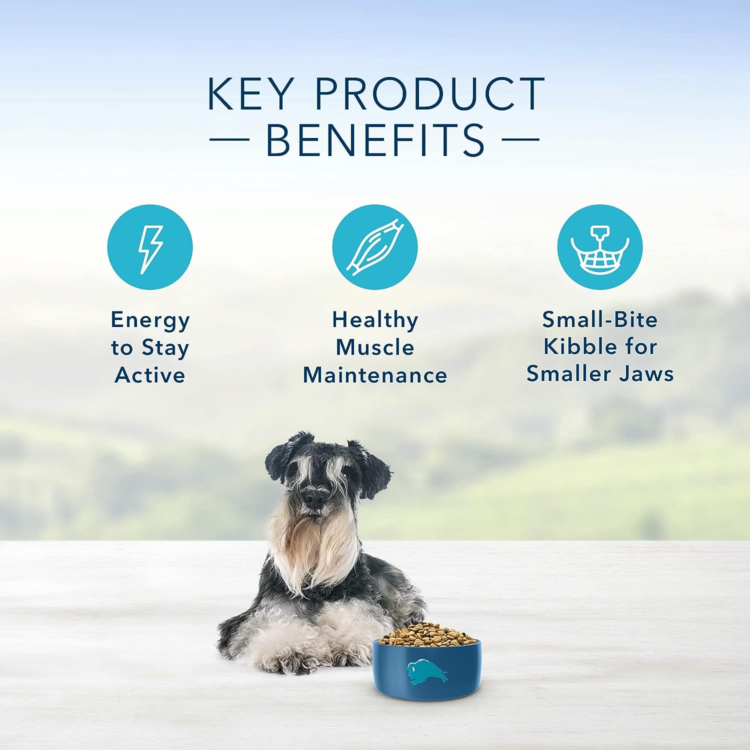 Blue Buffalo Senior Small Breed Dry Dog Food, Life Protection Formula, Natural Chicken & Brown Rice Flavor -  Dry Dog Food Blue Buffalo
