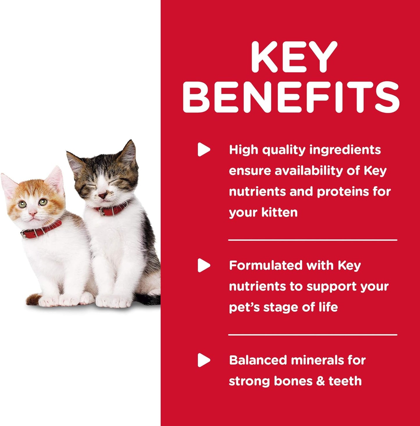 Hill's Science Diet Wet Kitten Food Tender Chicken Dinner Canned Cat Food -  Wet Cat Food Hill's Science