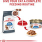 Royal Canin Feline Weight Care Thin Slices in Gravy Canned Adult Wet Cat Food -  Wet Cat Food Royal Canin