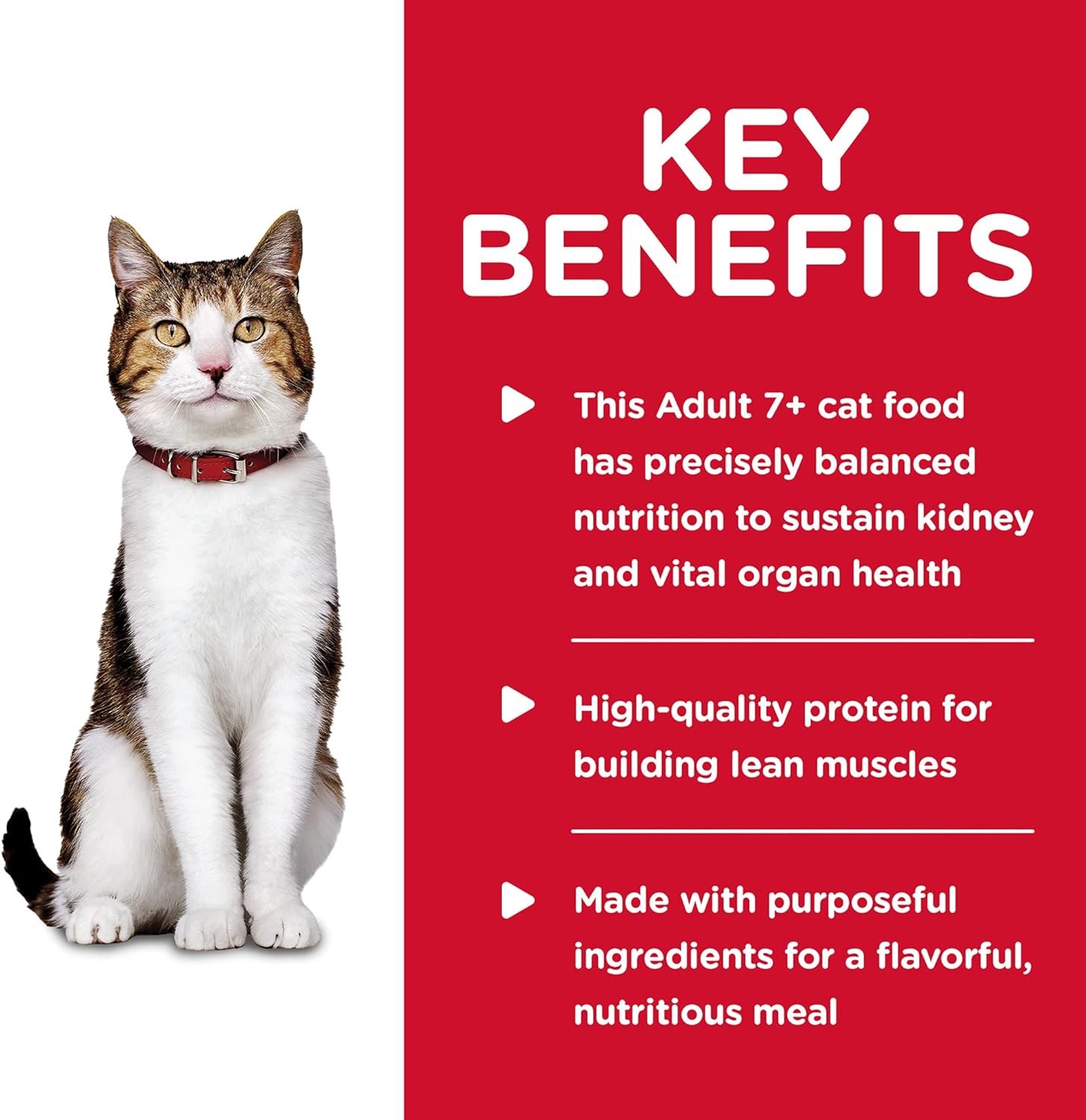Hill's Science Diet Senior Wet Cat Food, Adult 7+ Savory Chicken Entrée Minced Cat Food -  Wet Cat Food Hill's Science
