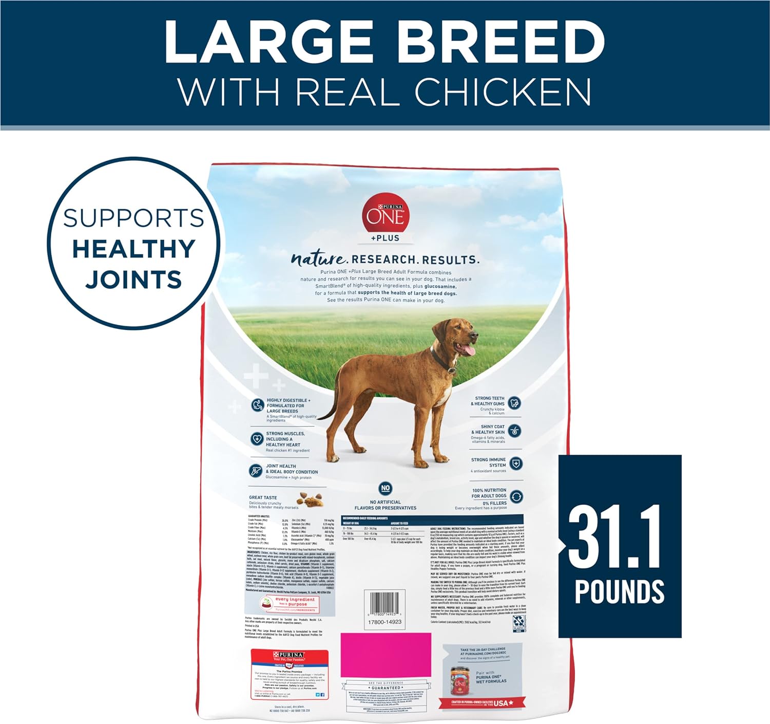 Purina One Plus Large Breed Adult Digestive Health Natural Dry Dog Food -  Dry Dog Food Purina ONE