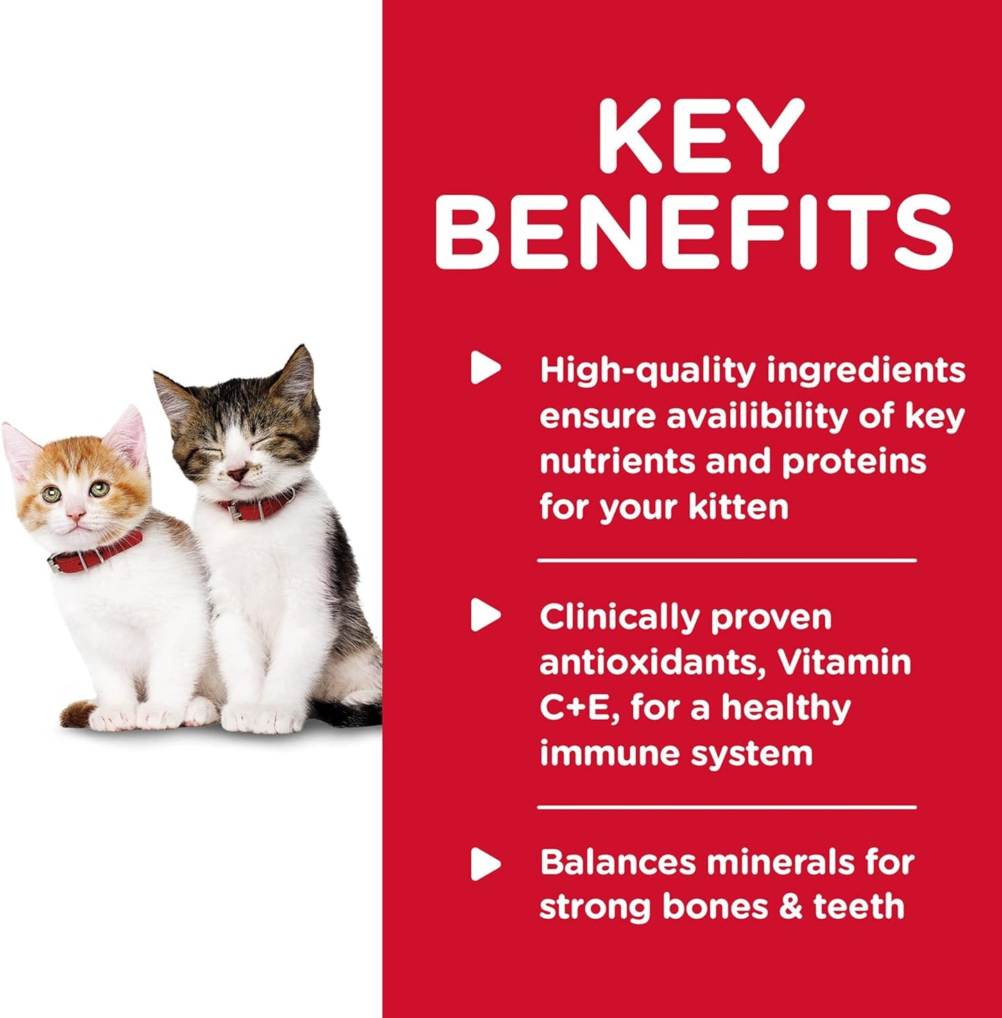 Hill's Science Diet Wet Cat Food, Kitten, Liver & Chicken Recipe, 5.5 oz. Cans, 24-Pack -  Wet Cat Food Hill's Science