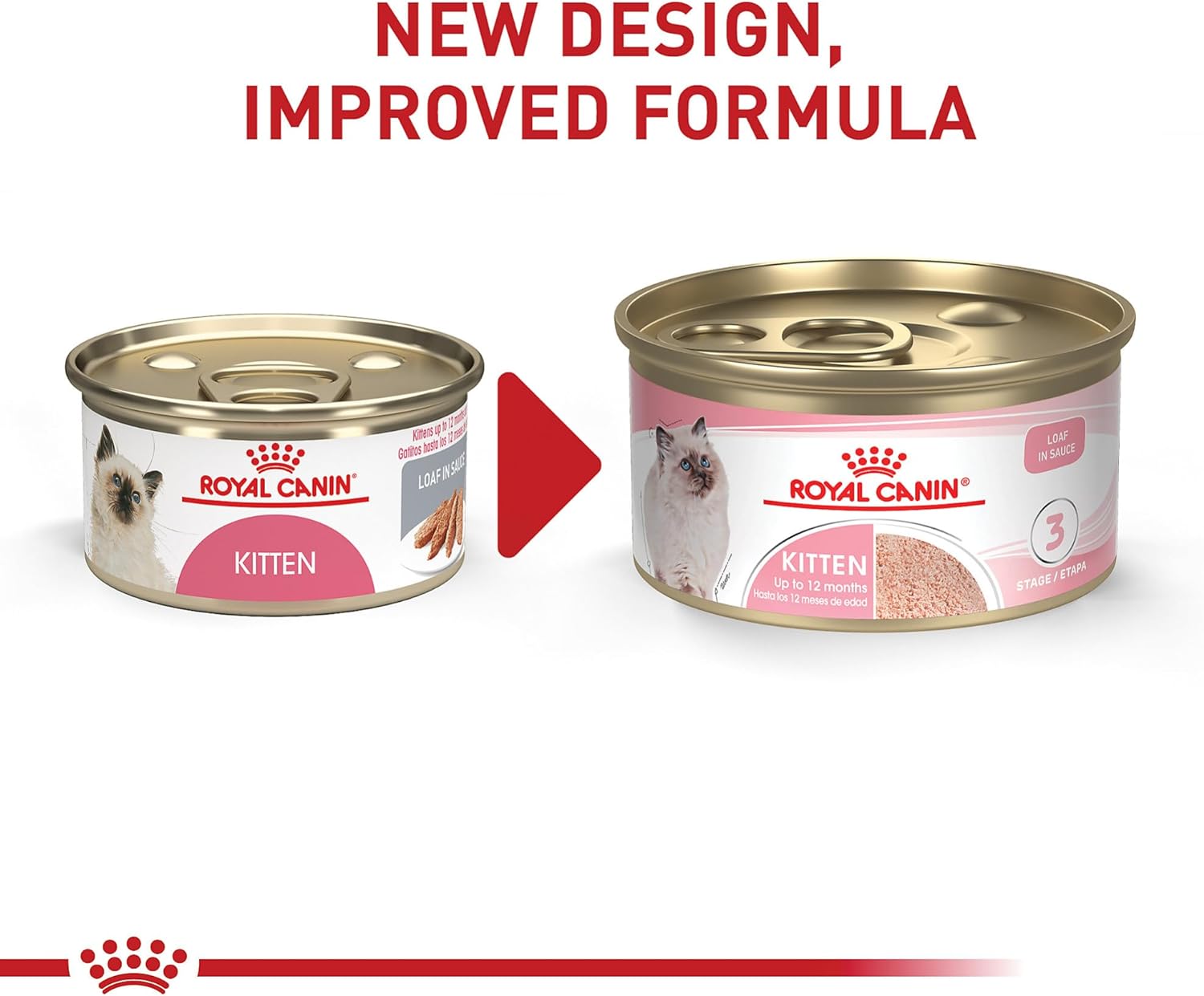 Royal Canin Feline Health Nutrition Kitten Loaf in Sauce Canned Cat Food -  Wet Cat Food Royal Canin